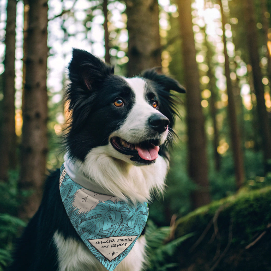 Teal Foliage Pet Bandana