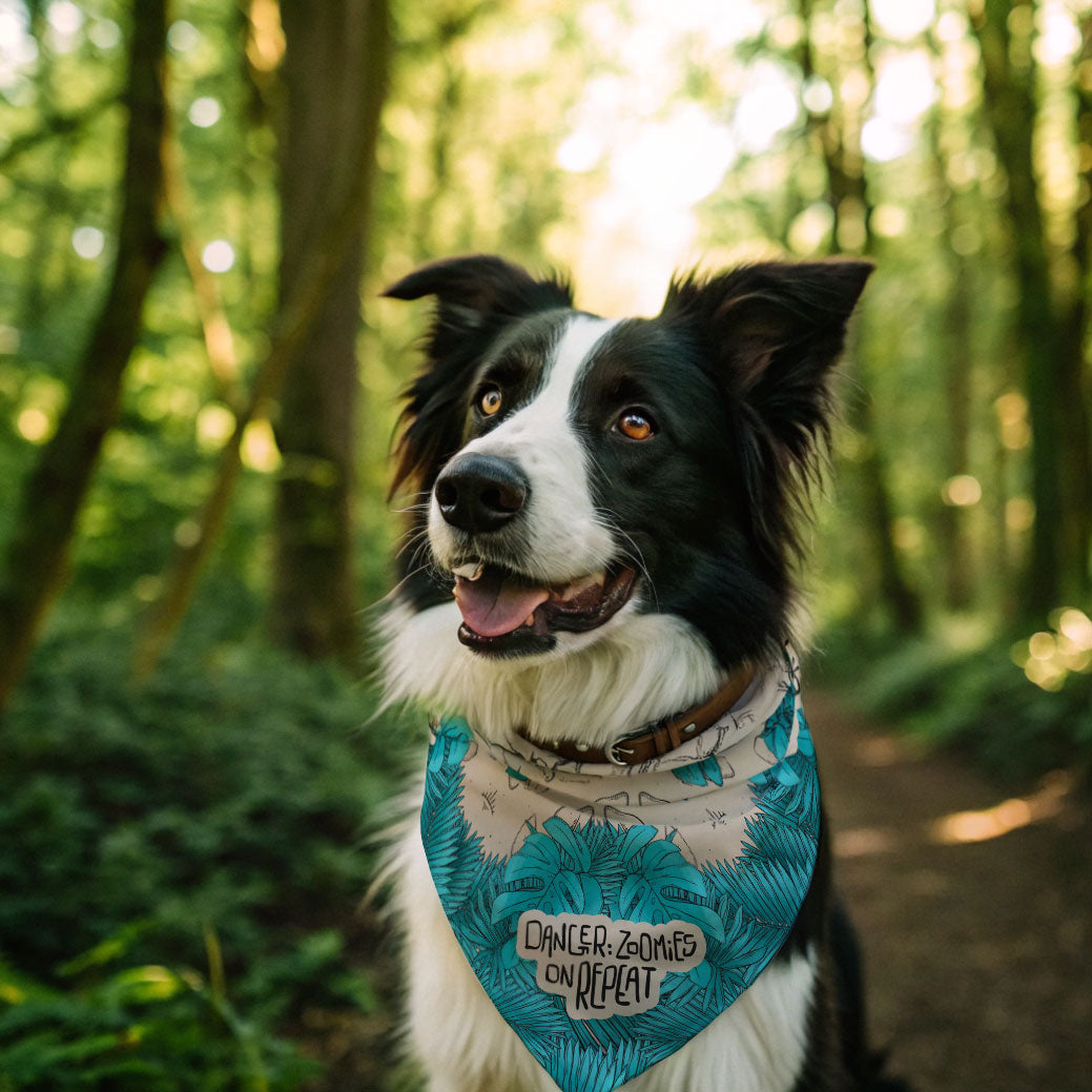 Teal Foliage Pet Bandana