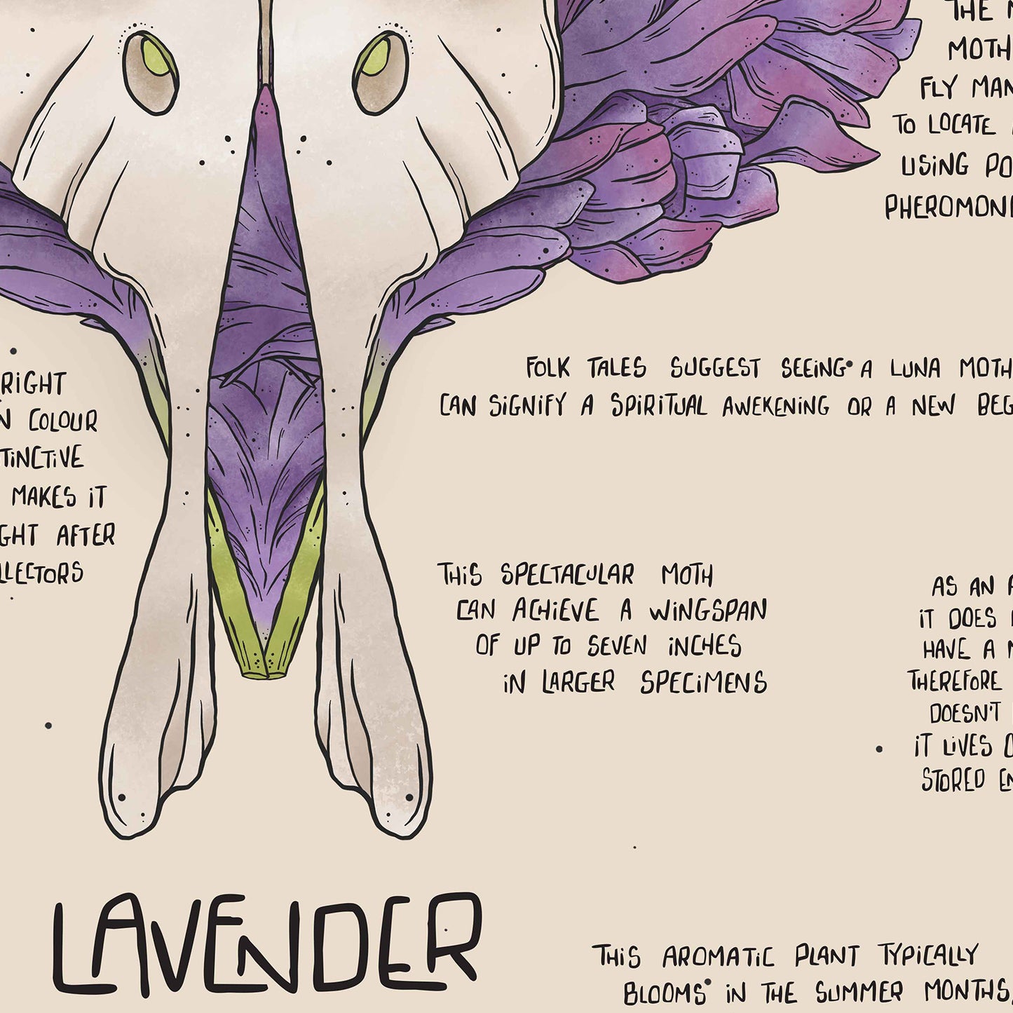 Lavender Hush Compendium Tea Towel