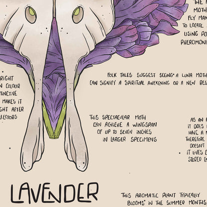 Lavender Hush Compendium Tea Towel