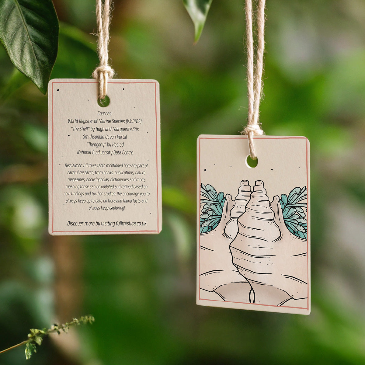 Coastal Treasures Compendium Tea Towel