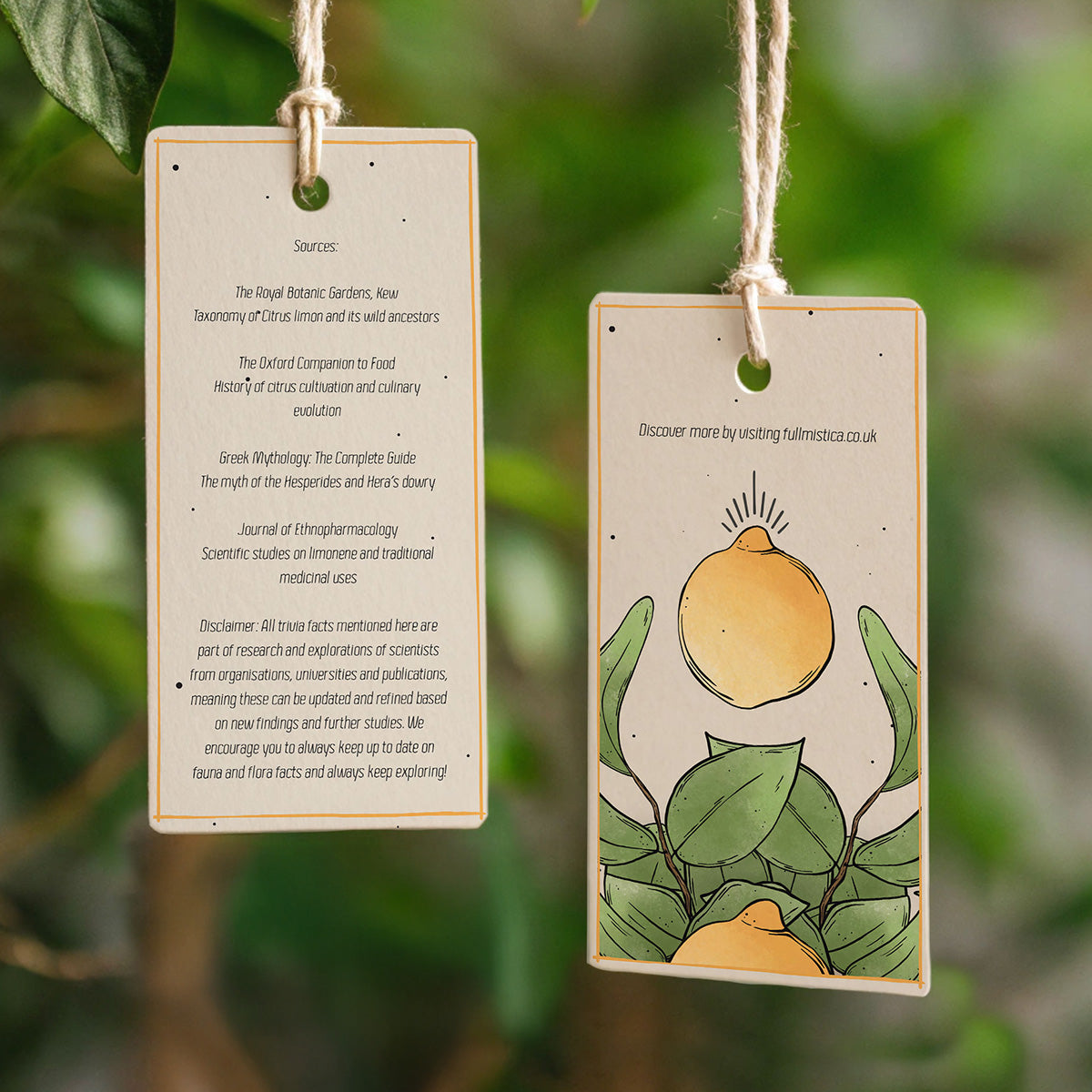 Citrus Muss Compendium Tea Towel