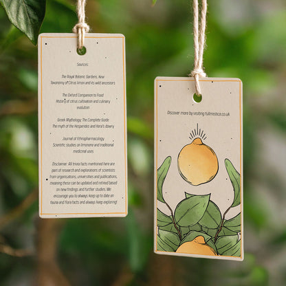 Citrus Muss Compendium Tea Towel