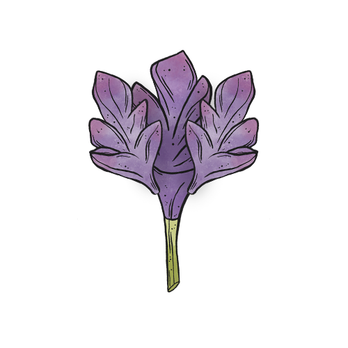 lavender themed merch products, wholesale gifts for lavender farms souvenir boutique shops