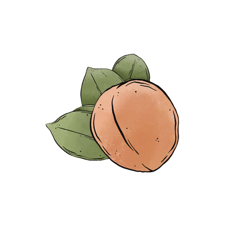 peach fruits themed merch products, wholesale gifts for souvenir boutique shops retailers