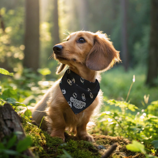 Howl-o-Ween Cutie Pet Bandana